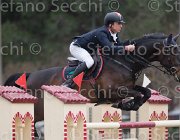 Schmid Coco Chanel TosTour 2013- S4 6976 : Arezzo Equestrian Centre, Coco Chanel, Schmid Maximilian, Toscana Tour 2013, foto di Stefano Secchi ©